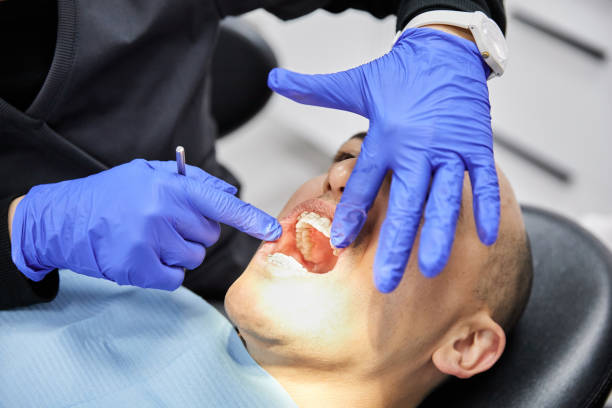 Best Emergency Orthodontic Services in Anna, OH